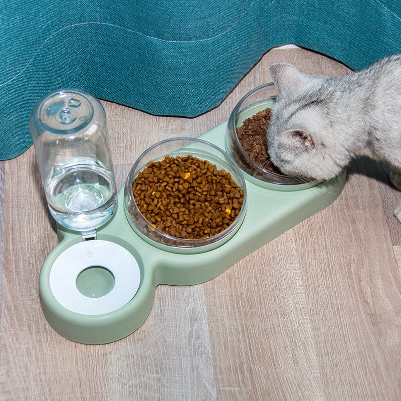 Raised pet feeding food and water bowls - image 9
