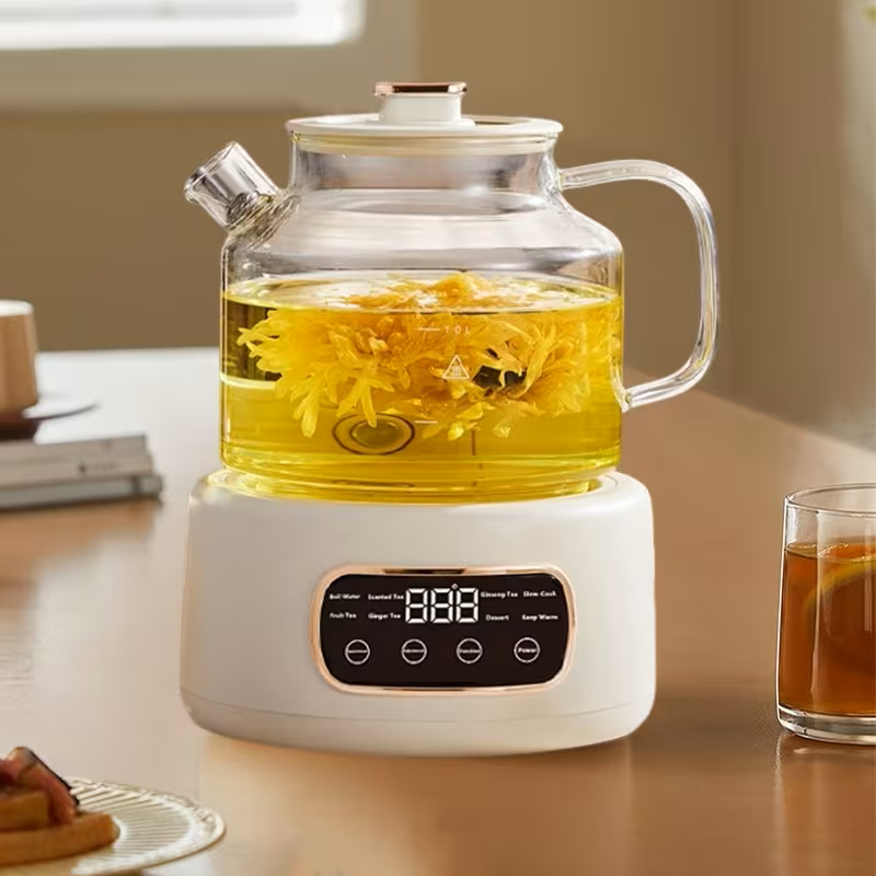 Multifunctional 110V Electric Kettle and Health Tea Stew Pot
