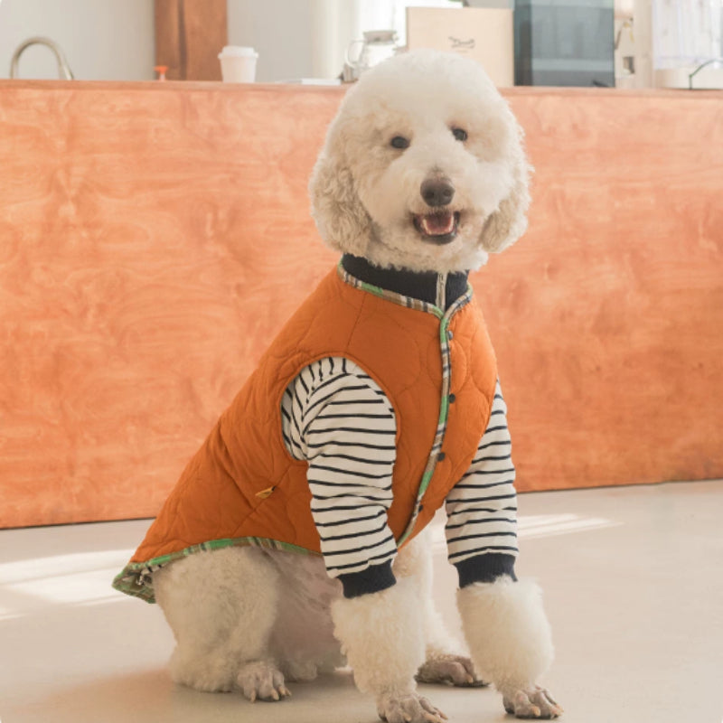 Dog Clothing – Checkered Jacket and Striped Polo Options