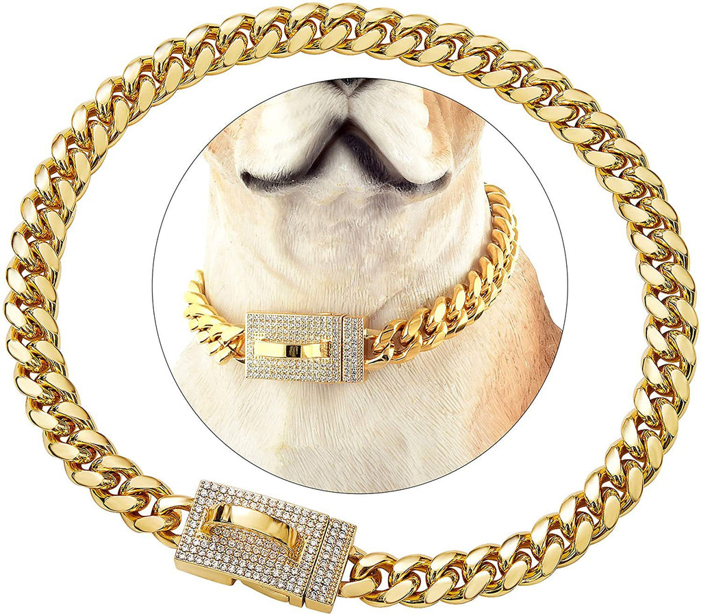 10mm Gold-Color Stainless Steel Dog Collar