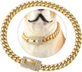 10mm Gold-Color Stainless Steel Dog Collar