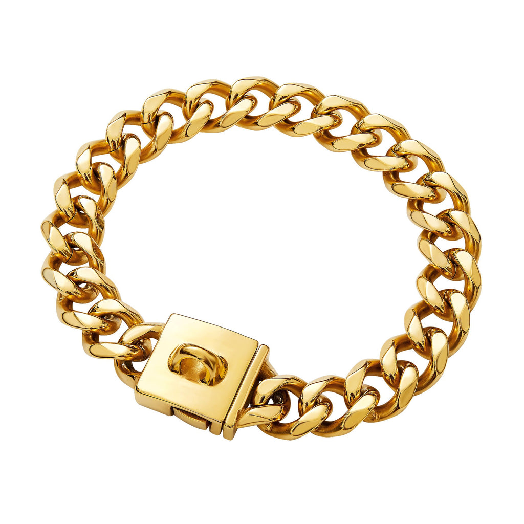 Stainless Steel Dog Chain Collar – Gold and Silver