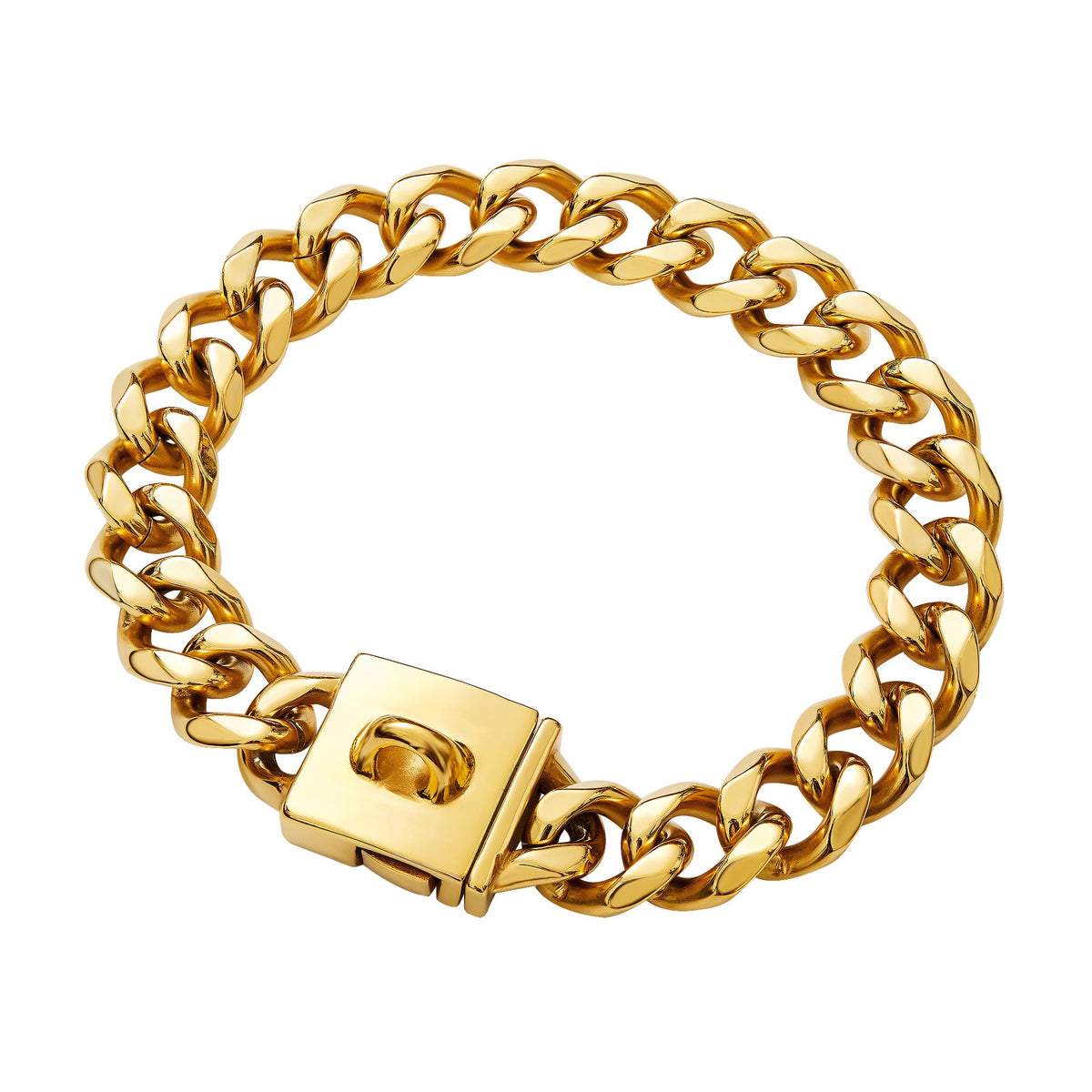 Stainless Steel Dog Chain Collar – Gold and Silver