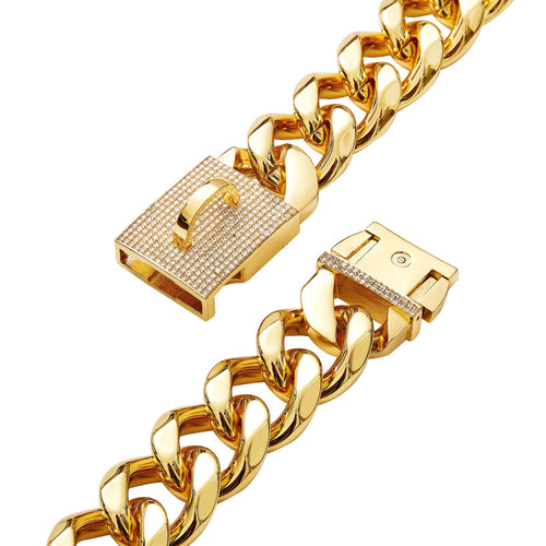 19mm Gold-Color Stainless Steel Dog Collar