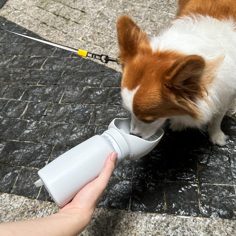 Collapsible Pet Travel Water Bottle