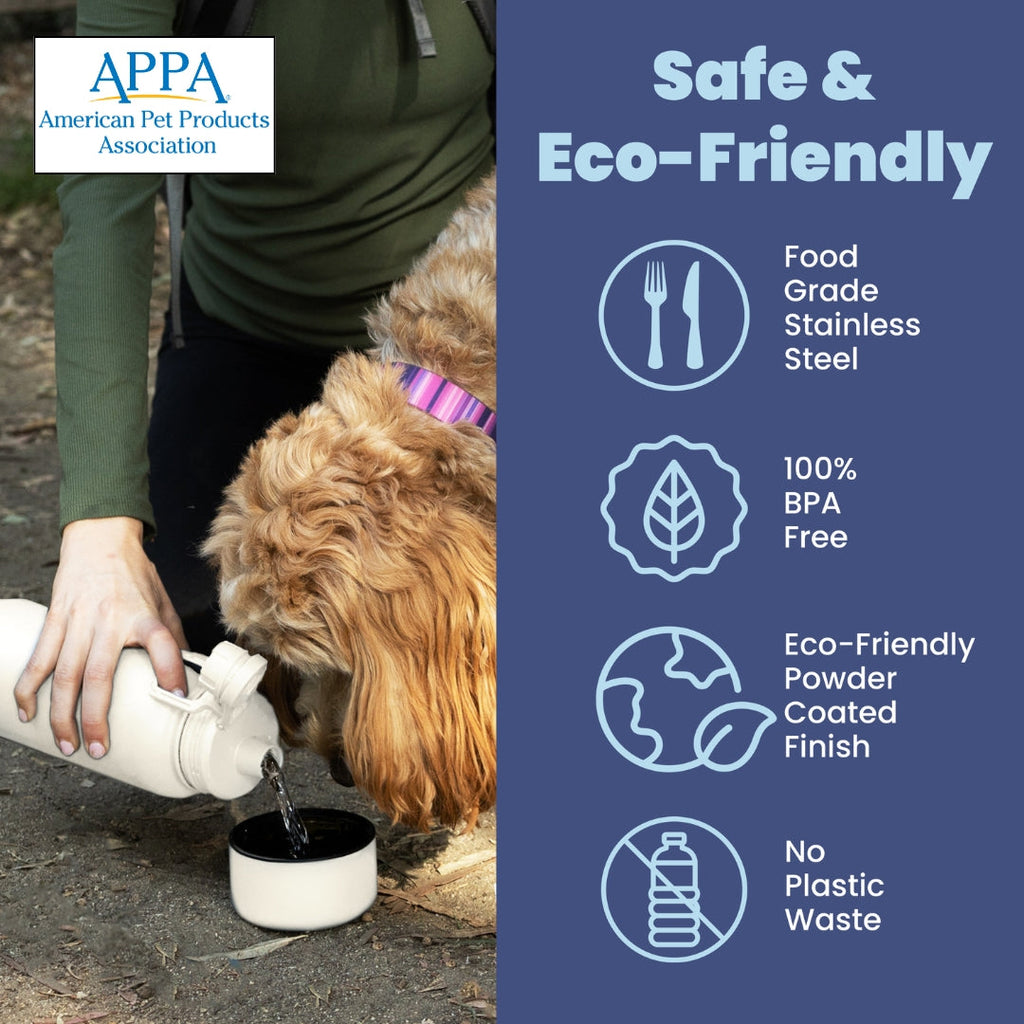 2-in-1 Insulated Dog Water Bottle with Detachable Bowl