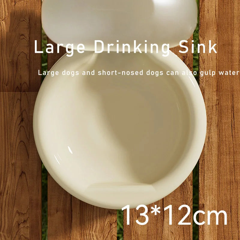Portable 500ml Pet Travel Water Bottle